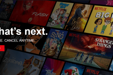 Cómo Transmitir US Netflix En Un Fire Stick