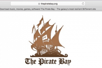 So entsperrst du den Zugang zu Pirate Bay