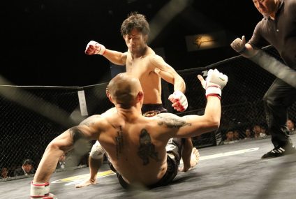 Watching the UFC