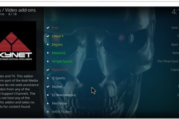 How to Install SkyNet Kodi Addon (Working Method in 2021)?