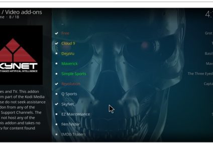 How to Install SkyNet Kodi Addon (Working Method in 2021)?
